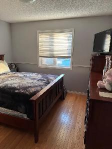 Offering Cleaning service