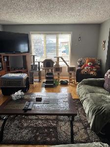 Offering Cleaning service - Photo 7