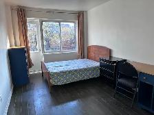Downtown Near McGill All Included Furnitured Studio for Rent !!