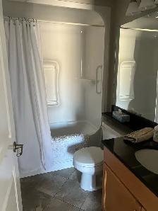 furnished executive luxury condo - Photo 5