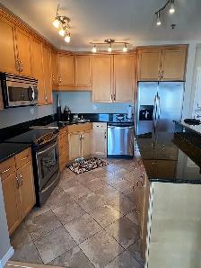 furnished executive luxury condo - Photo 8