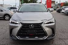 2025 Lexus NX - Photo 2
