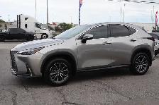 2025 Lexus NX - Photo 3