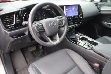 2025 Lexus NX - Photo 9