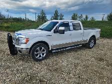 2010 Ford F150