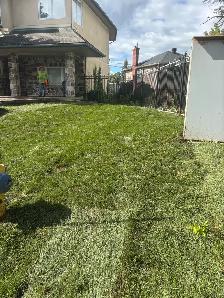 Lawn Care Worker