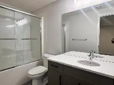 Brand New 1-Bedroom Basement Suite for Rent – Available NOW - Photo 5