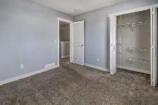 3.5BR   2.5Bath Open Concept Main Floor Home - Photo 16