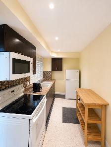 Private Walkout Basement - Photo 3