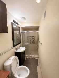 Private Walkout Basement - Photo 6