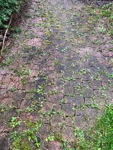 Free interlock - Photo 2