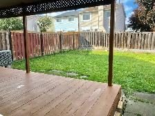 1 BEDROOM AVAILABLE FOR RENT HUMBER COLLEGE AND FINCH - Photo 3