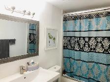 1 BEDROOM AVAILABLE FOR RENT HUMBER COLLEGE AND FINCH - Photo 6