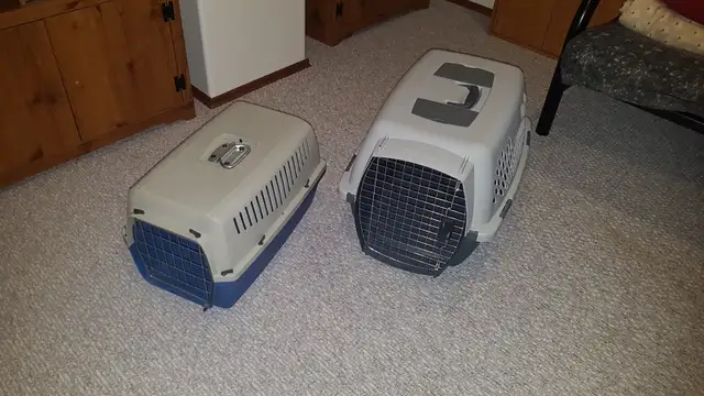 Dog kennels