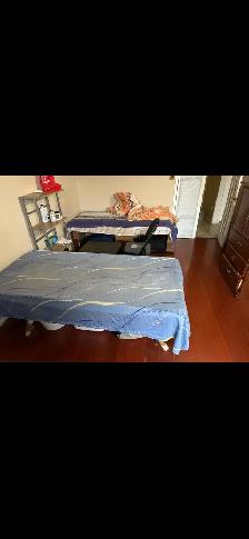 Basement and rooms for rent Brampton - Photo 2