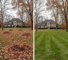 Leaf Removal & Lawn Cleanup – Northwood Property Services