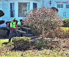 Leaf Removal & Lawn Cleanup – Northwood Property Services - Photo 3
