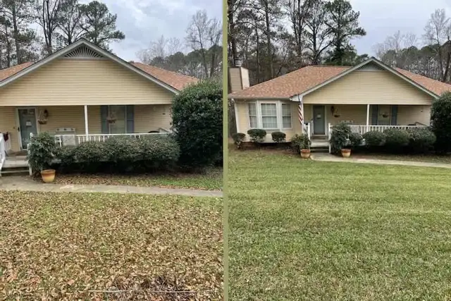 Yard & Property Cleanup – Small & Large Jobs