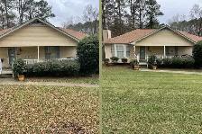 Yard & Property Cleanup – Small & Large Jobs