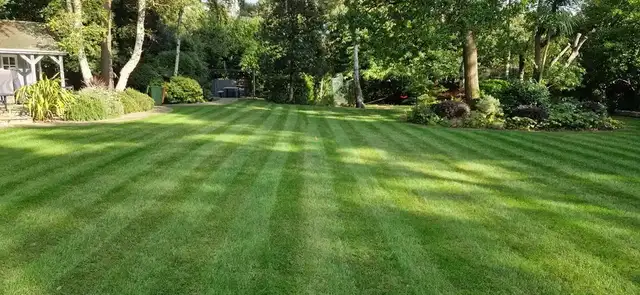 Lawn Mowing & Grass Cutting – Northwood Property Services