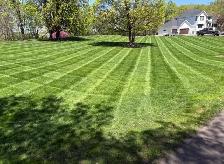 Lawn Mowing & Grass Cutting – Northwood Property Services - Photo 3