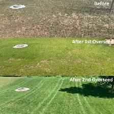 Lawn Aeration & Overseeding – Fall Lawn Service - Photo 2