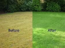 Lawn Aeration & Overseeding – Fall Lawn Service - Photo 3