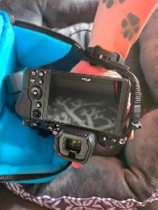 Nikon z6 (9700clics)  24-70 4s - Photo 3