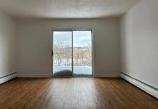 4 1/2 À SHERBROOKE SECTEUR EST – 445 LAVIGERIE (1 mois gratuit) - Photo 4