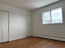 4 1/2 À SHERBROOKE SECTEUR EST – 445 LAVIGERIE (1 mois gratuit) - Photo 8