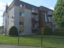 4 1/2 À SHERBROOKE SECTEUR EST – 445 LAVIGERIE (1 mois gratuit) - Photo 9