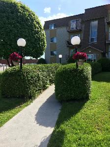 4 1/2 À SHERBROOKE SECTEUR EST – 445 LAVIGERIE (1 mois gratuit) - Photo 10