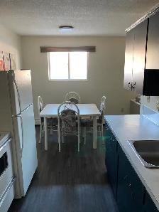 YORKTON - Fully Furnished, 2 Bedroom Apartment - Photo 3