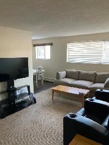 YORKTON - Fully Furnished, 2 Bedroom Apartment - Photo 4