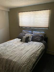 YORKTON - Fully Furnished, 2 Bedroom Apartment - Photo 8
