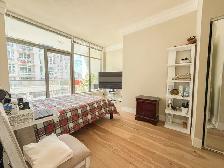 Beautiful Large 1 Bed   Den in Quality Steel & Concrete Building - Photo 4