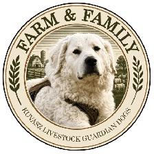 Kuvasz Livestock Guardian Pups - Photo 4
