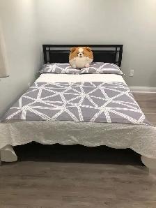 Large basement room for rent