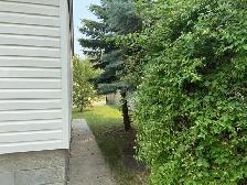 Handyman’s special - Photo 2