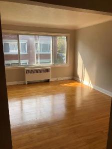 Studio Apartment in Ottawa East (Vanier) - Photo 2