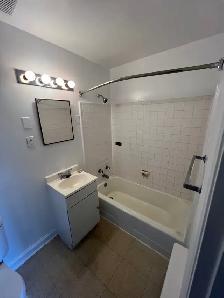 Studio Apartment in Ottawa East (Vanier) - Photo 3
