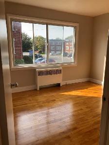 Studio Apartment in Ottawa East (Vanier) - Photo 5