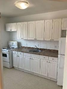 Studio Apartment in Ottawa East (Vanier) - Photo 6