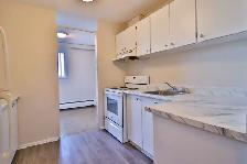 ONE MONTH FREE!   2 Bedroom Kilborn Ave. Alta Vista/Smyth/Bank - Photo 8
