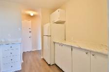 ONE MONTH FREE!   2 Bedroom Kilborn Ave. Alta Vista/Smyth/Bank - Photo 9