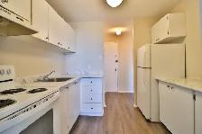 ONE MONTH FREE!   2 Bedroom Kilborn Ave. Alta Vista/Smyth/Bank - Photo 10