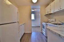 ONE MONTH FREE!   2 Bedroom Kilborn Ave. Alta Vista/Smyth/Bank - Photo 11