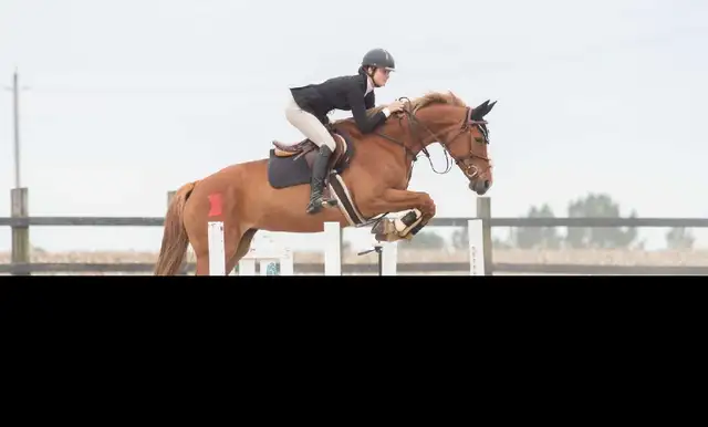 Riding lessons at Cimarron Equestrian