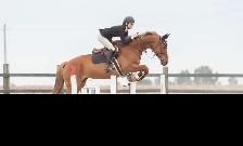 Riding lessons at Cimarron Equestrian