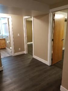 $1350 (Utilities Included!) - 2/1 Basement Suite in Sunnybrook - Photo 3
